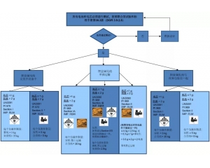 鋰電池分類(lèi)規(guī)則及運(yùn)輸要求匯總